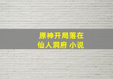 原神开局落在仙人洞府 小说